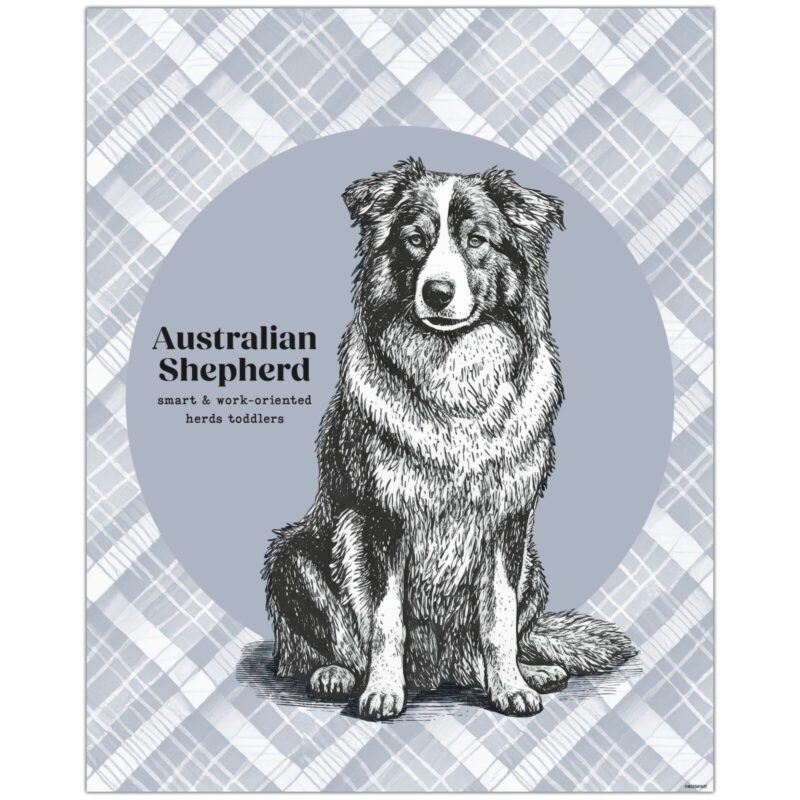 Australian Shepherd Dog Feature Image