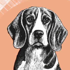 Beagle Dog Wall Art Poster Category