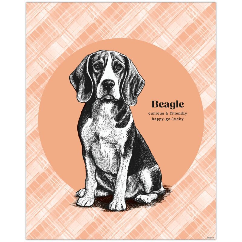Beagle Dog Feature Image