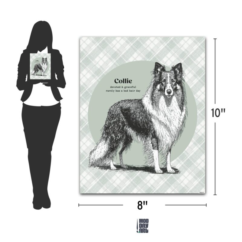 Collie Wall-Art-8x10-Dimension Chart