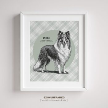 Collie Wall Decor shown in frame on wall