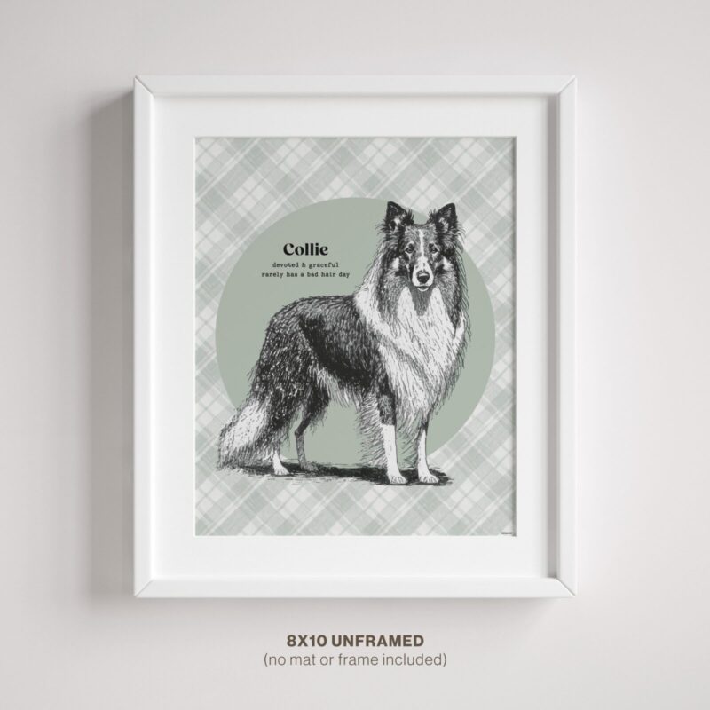 Collie Wall Decor shown in frame on wall