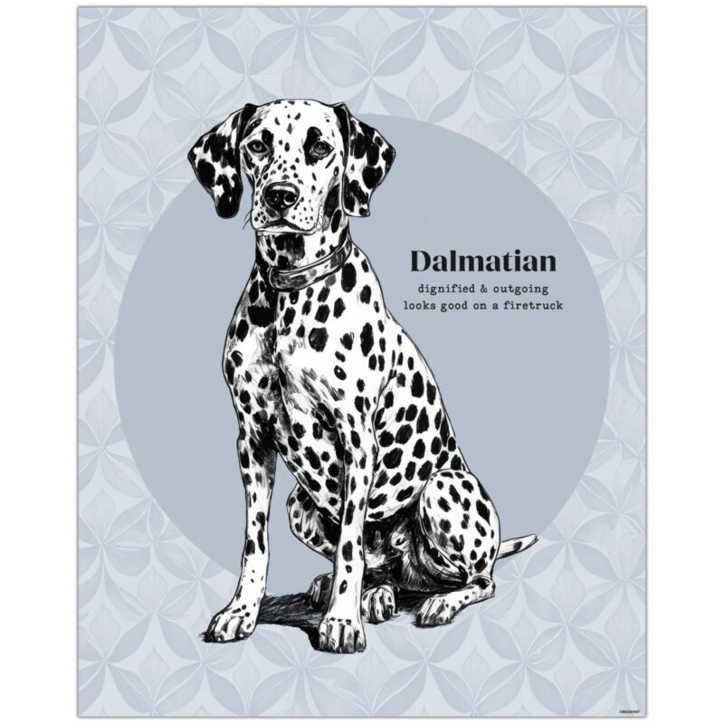 Dalmatian Dog Feature Image