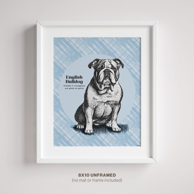 English Bulldog Dog Poster in Frame