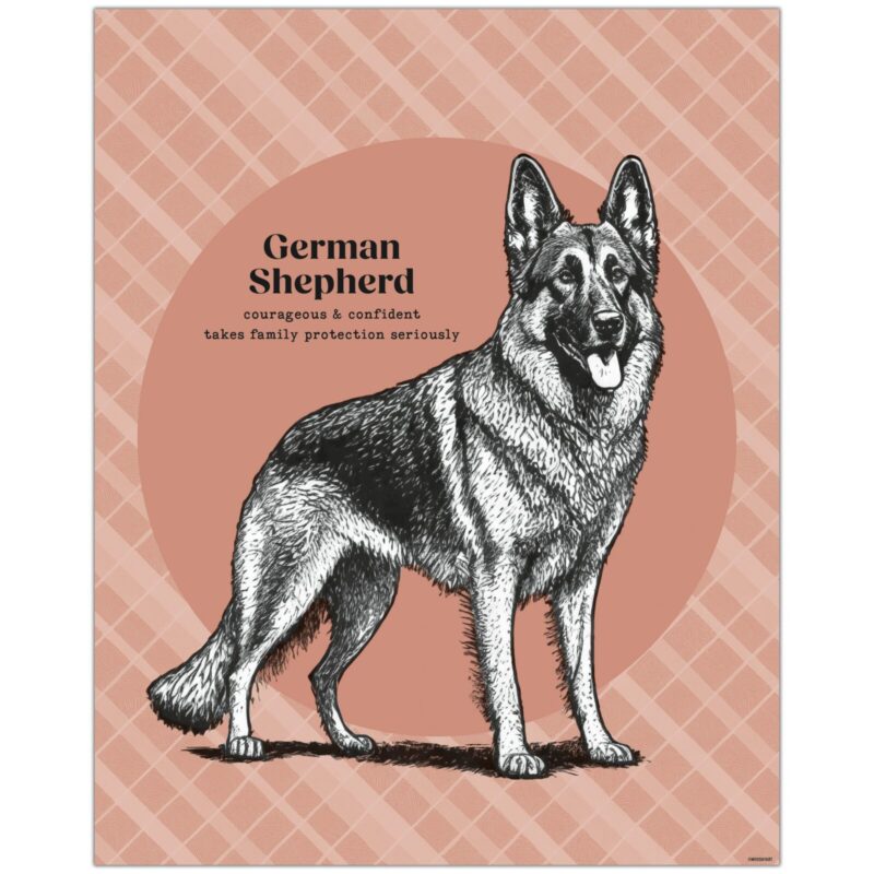 German Shepherd Dog Feature Image