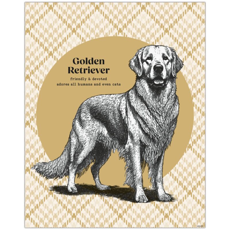 Golden Retriever Dog Feature Image