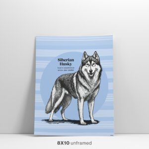 Siberian Husky Dog Wall Art 8x10 Feature Image