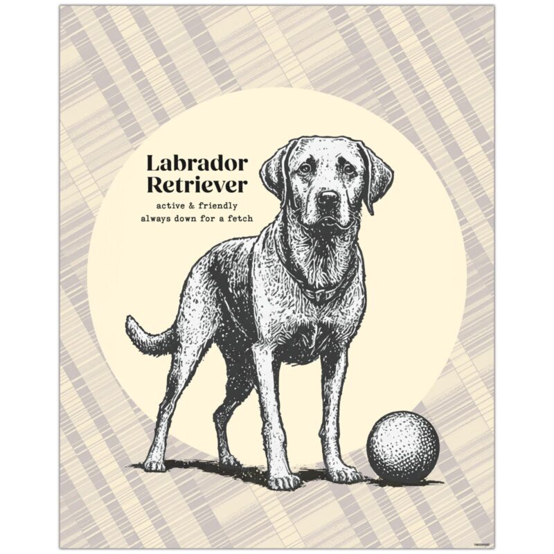 Labrador Decor for bedroom Poster