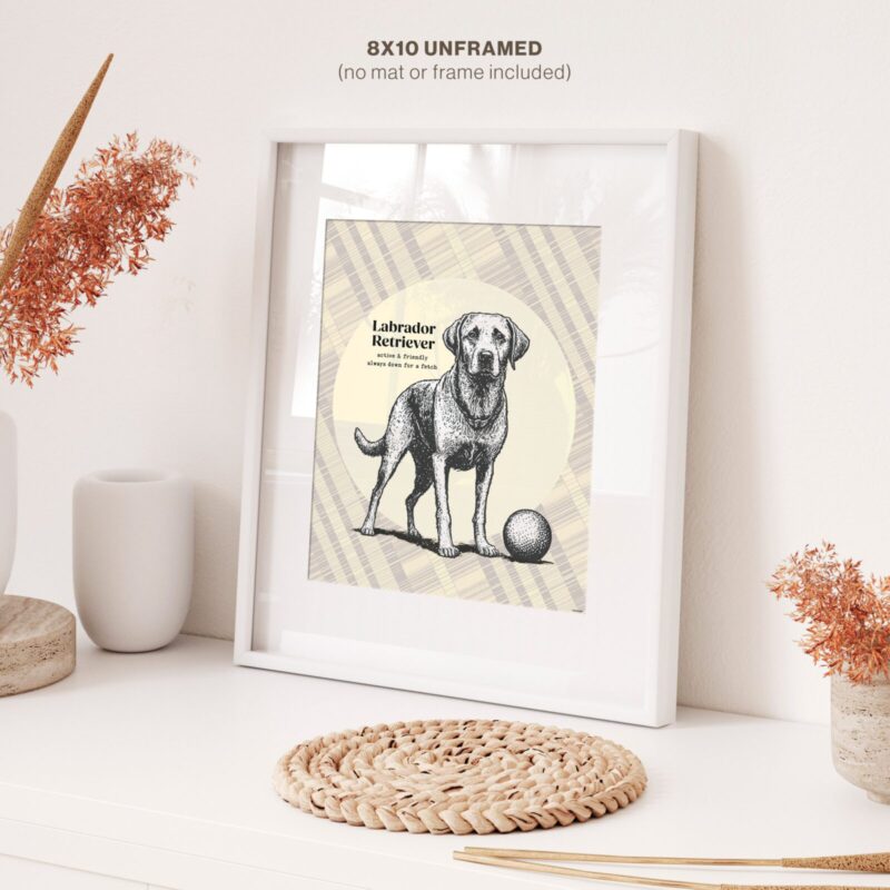 Labrador Decor for bedroom Poster in frame