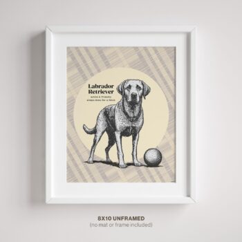 Labrador Decor for bedroom Poster in frame