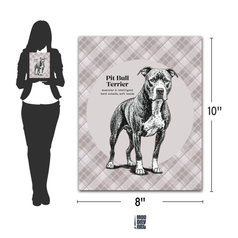 Heroic Pit Bull Terrier Dog poster 8x10 dimension chart