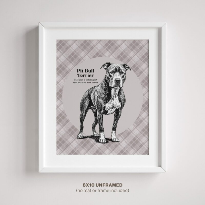 Pit Bull Terrier Dog poster in frame