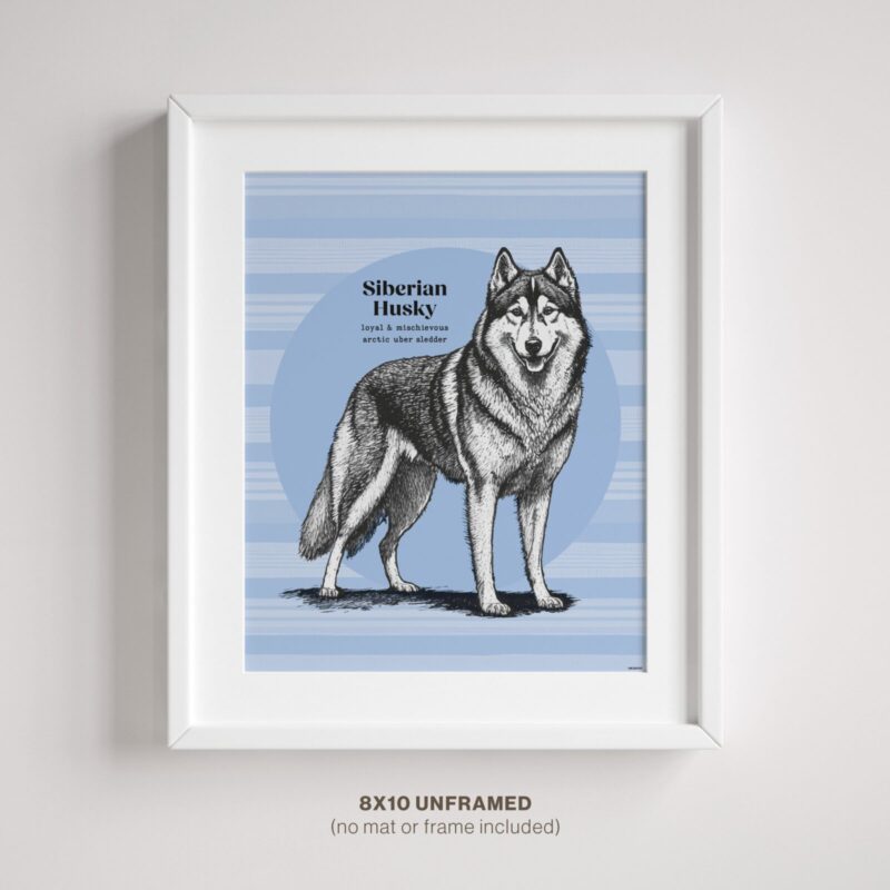 Siberian Husky Decor for Poster in Frame